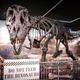 A Tyrannosaurus rex skeleton named “Stan” on display at Washington Pavilion’s Kirby Science Discovery Center in Sioux Falls, South Dakota.